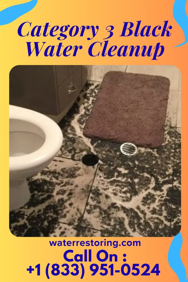 Category 3 Black Water Cleanup in Darien, WI