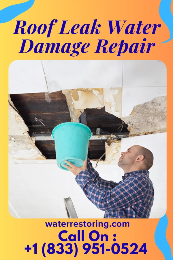 Roof Leak Water Damage Repair in Darien, WI