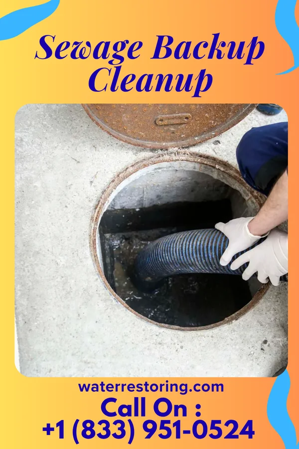 Sewage Backup Cleanup in Darien, WI